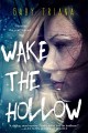 hollow